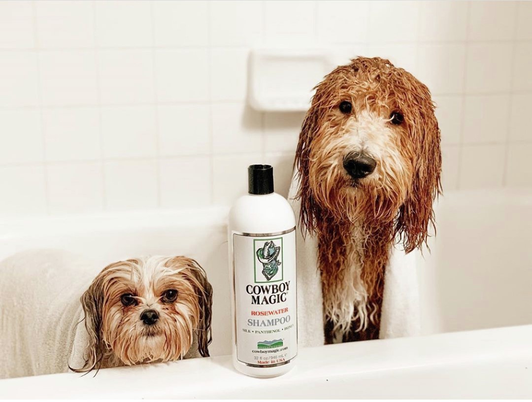 Cowboy Magic Rosewater Conditioner / Feuchtigkeitsspendende Fellpflege für Hunde, Katzen und Pferde