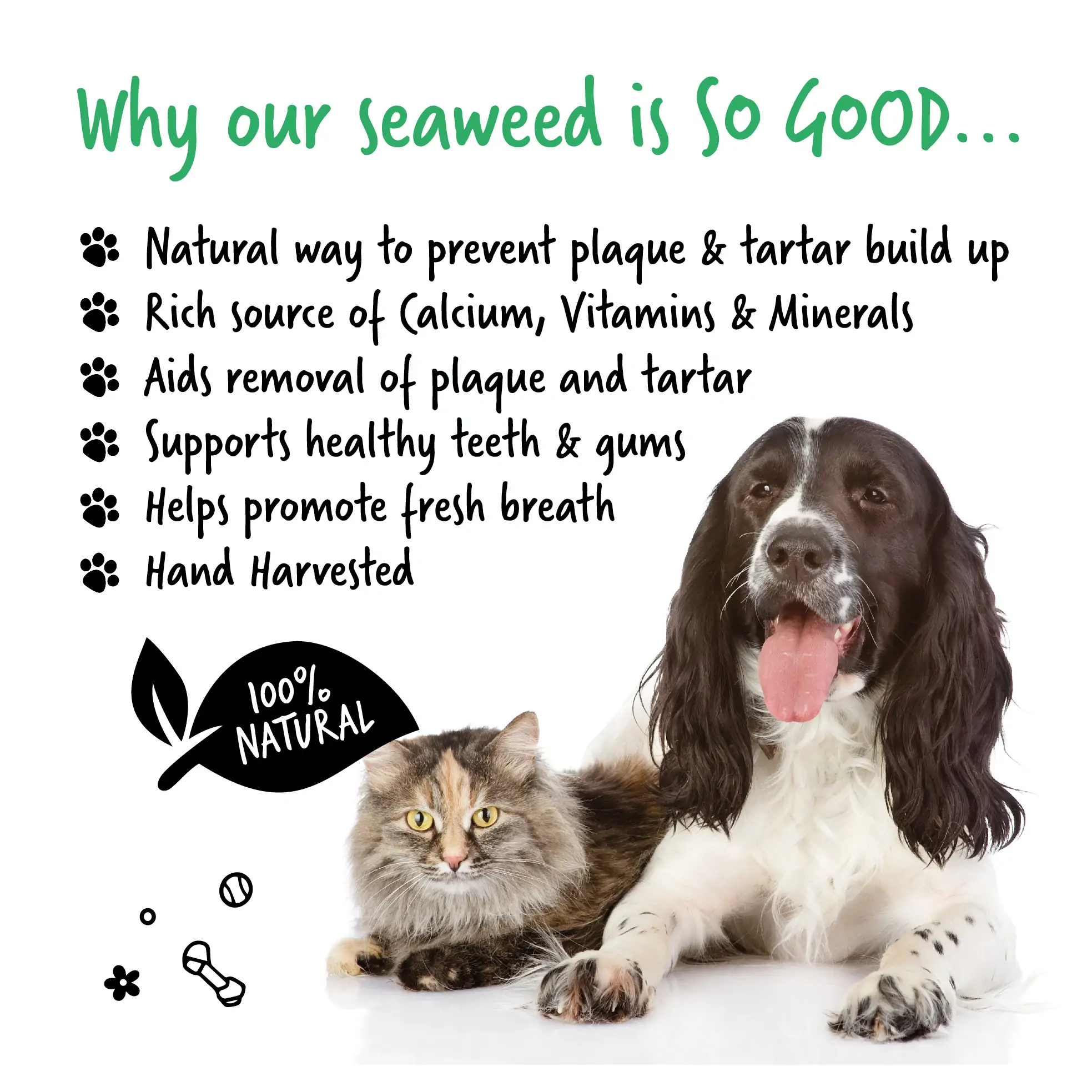 Bugalugs Plaque Remover /Entferner – Algen für Zahnpflege für Hunde und Katzen