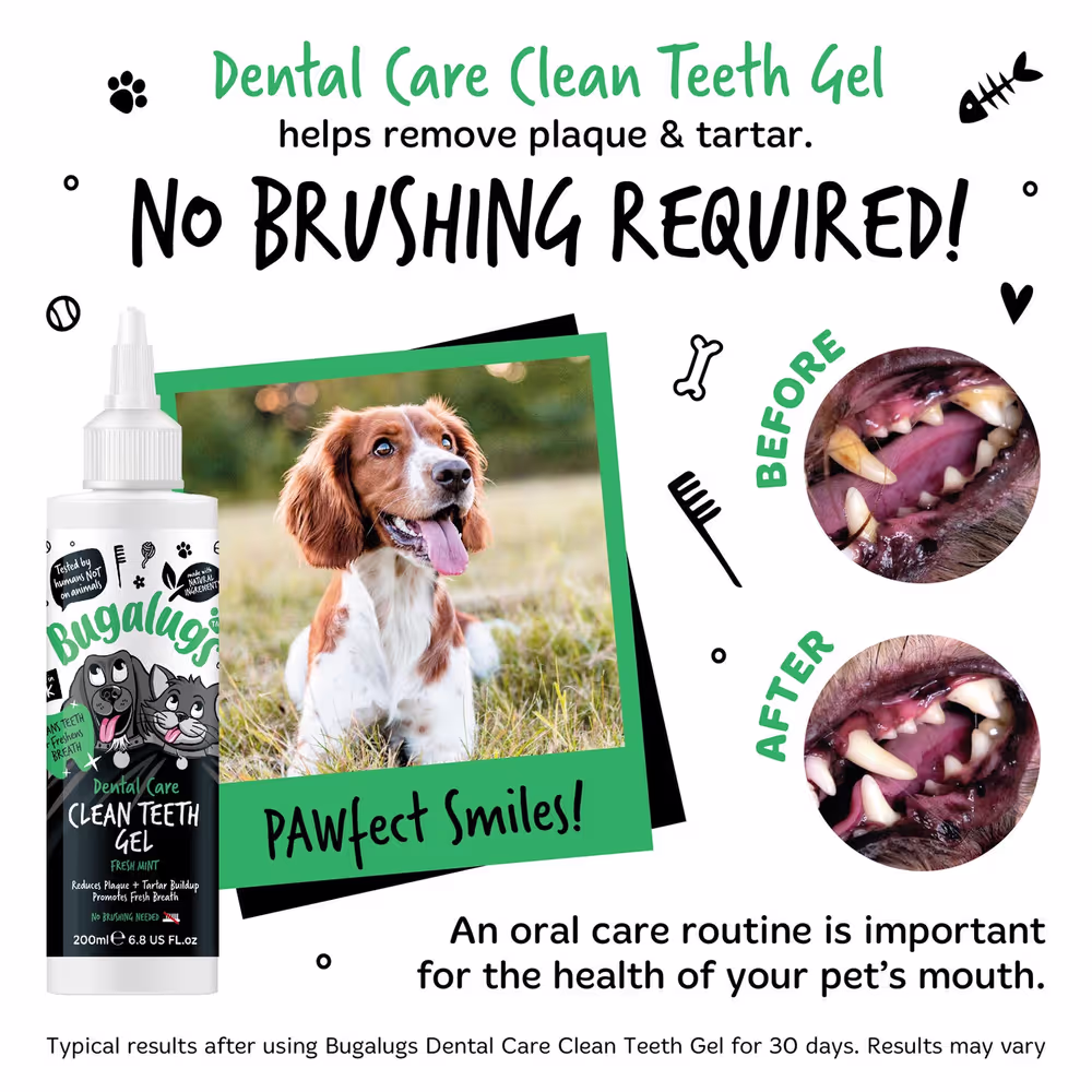 Bugalugs Dental Care Clean Teeth Gel 200 ml – Zahngel mit Minze für Hunde und Katzen ohne Zähneputzen