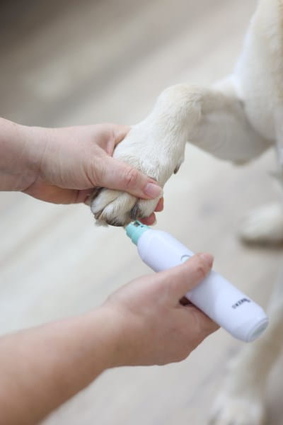 Kerbl - Nail File - Akku-Nagelschleifer
