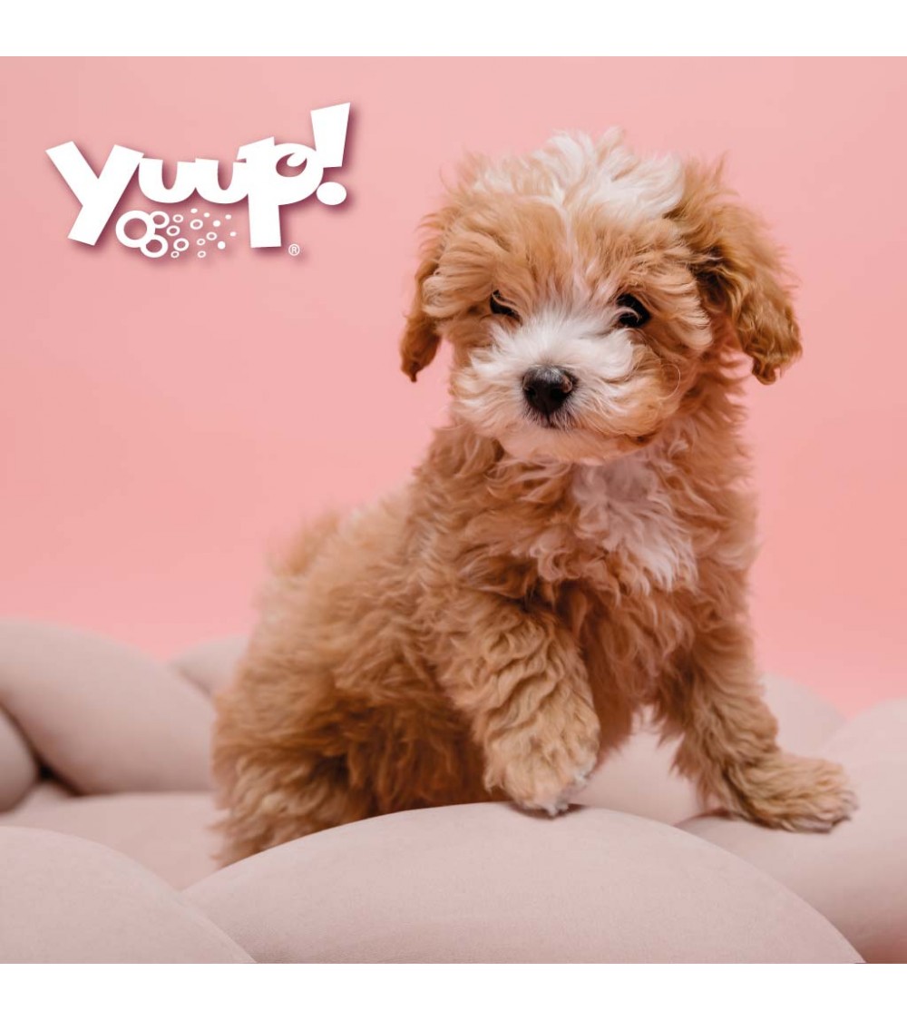 Yuup!® Welpen-Fellpflegeset -Shampoo , Conditioner , Spray